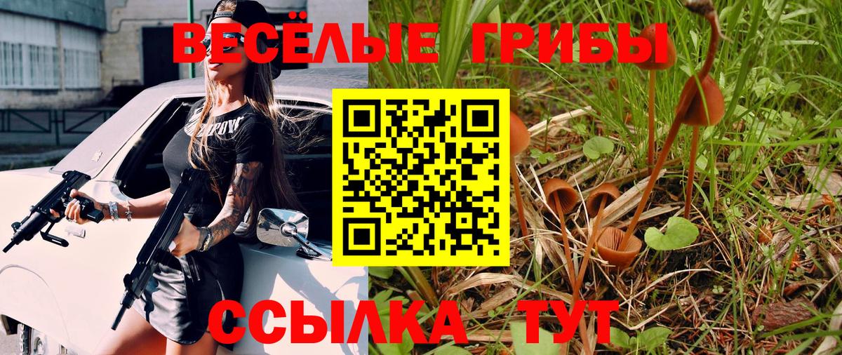 Псилоцибиновые грибы мицелий Советская Гавань