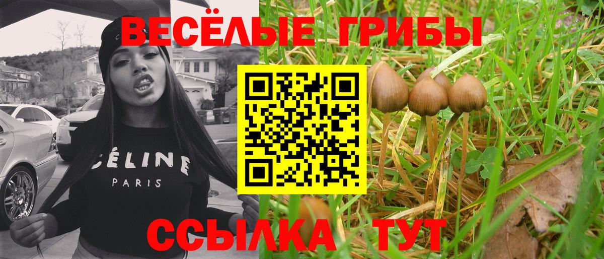 Советская Гавань  Галлюциногенные грибы MAGIC MUSHROOMS  Галлюциногенные грибы Psilocybe  Вход с VPN 